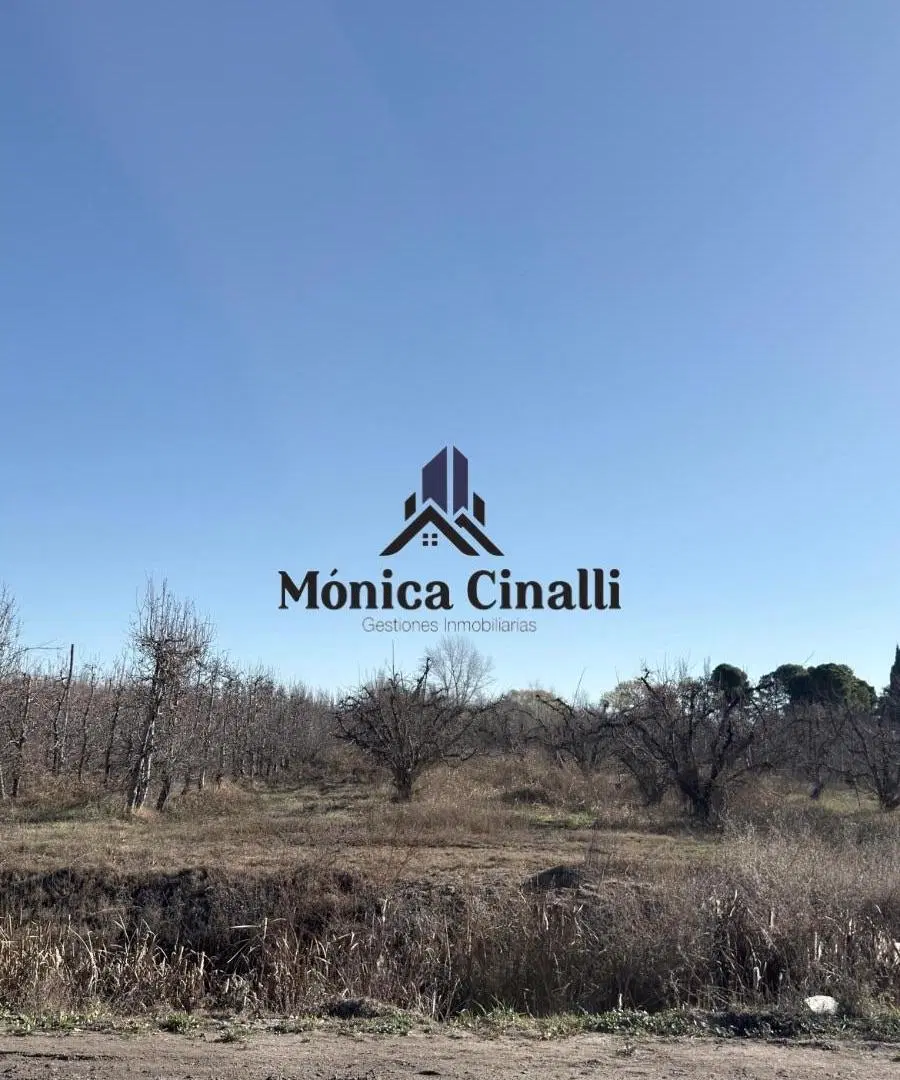 Terreno - Villa Regina 2