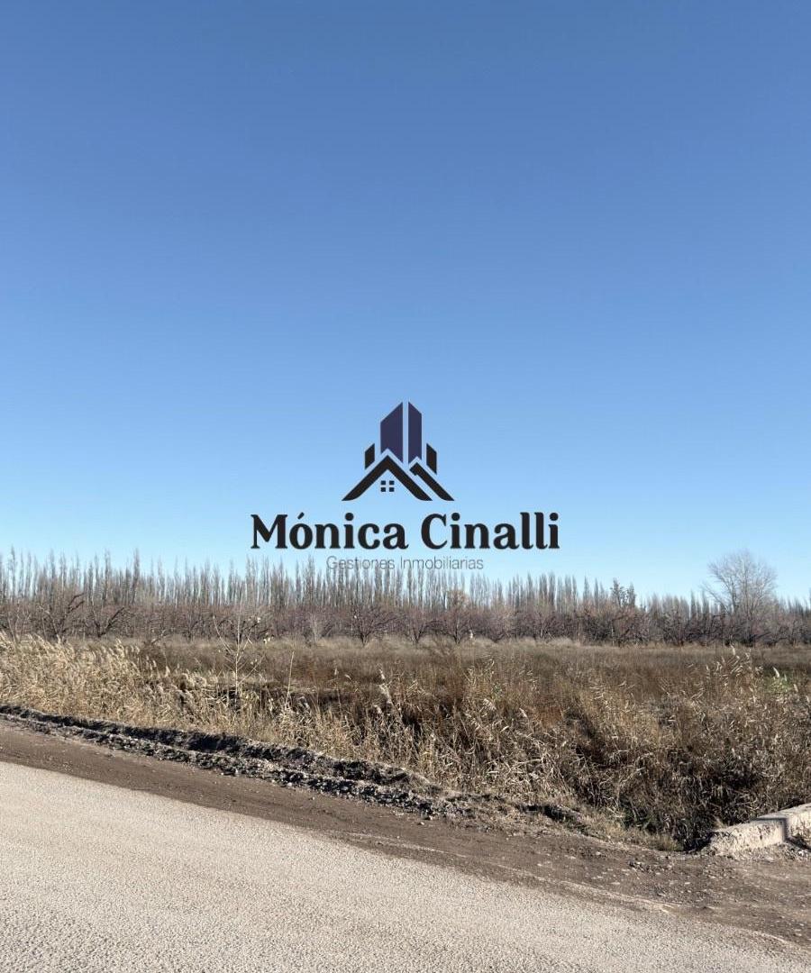 Foto de Terreno - Villa Regina, imagen 5