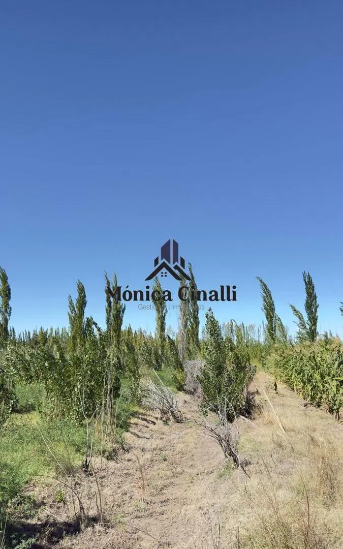 Terreno en Villa Regina 3