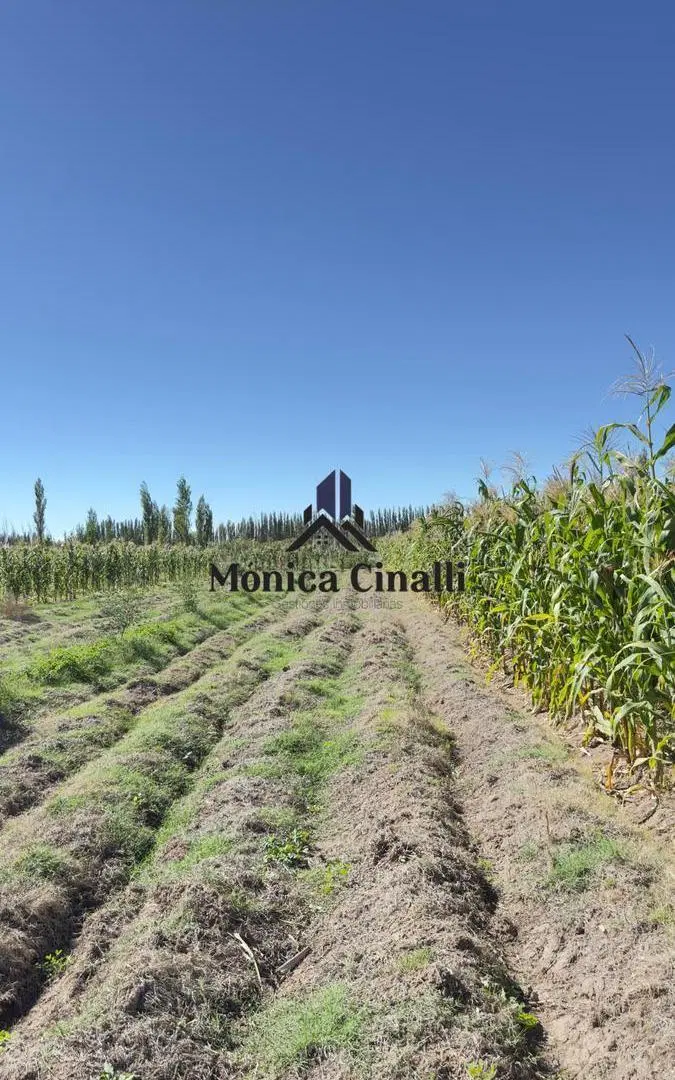 Terreno en Villa Regina 4