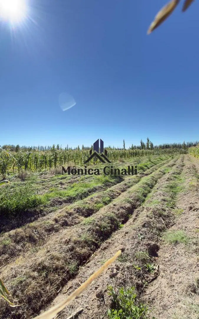 Terreno en Villa Regina 2