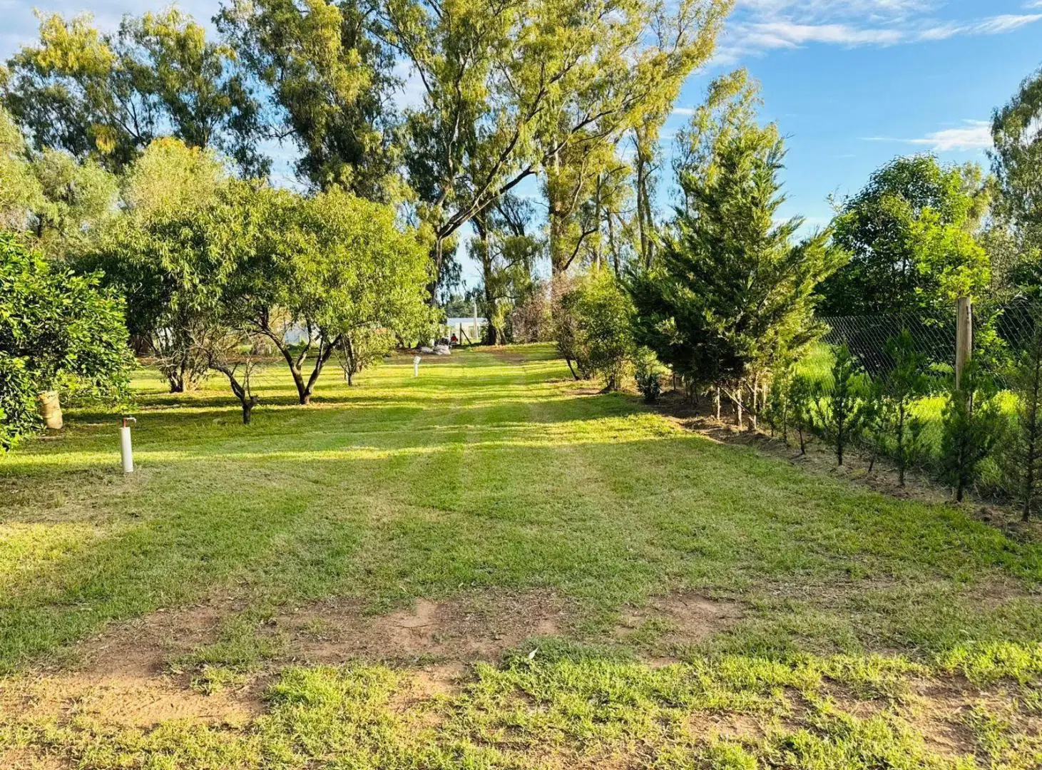 Terreno en dorila 3