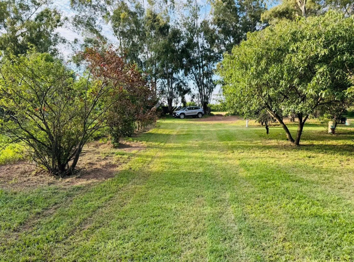 Terreno en dorila 2