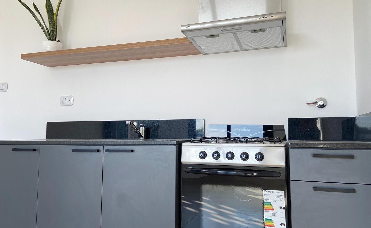 Foto de Departamento en Zona Norte, imagen 4
