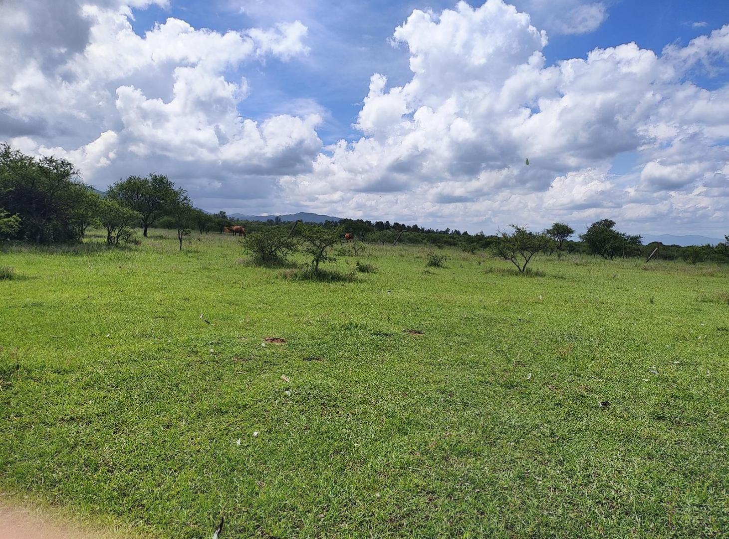 Terreno en La Toma