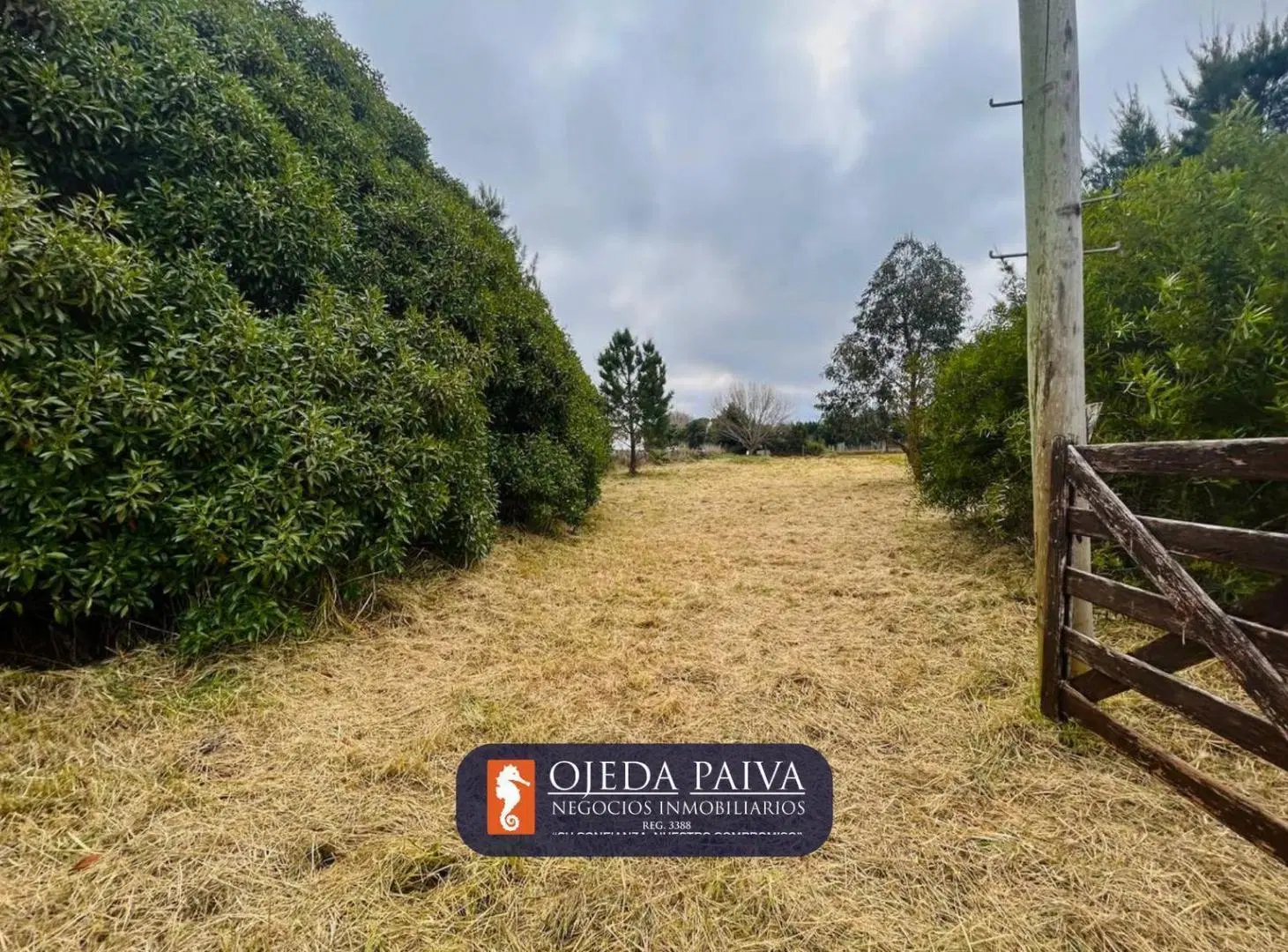Terreno de 769 m2 en La Baliza, Mar de Cobo 2