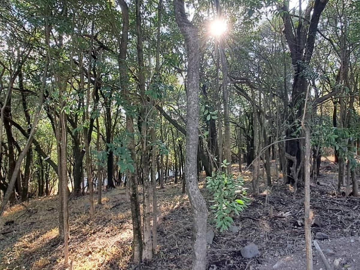 Lote en Venta Country Estancia San Miguel 4