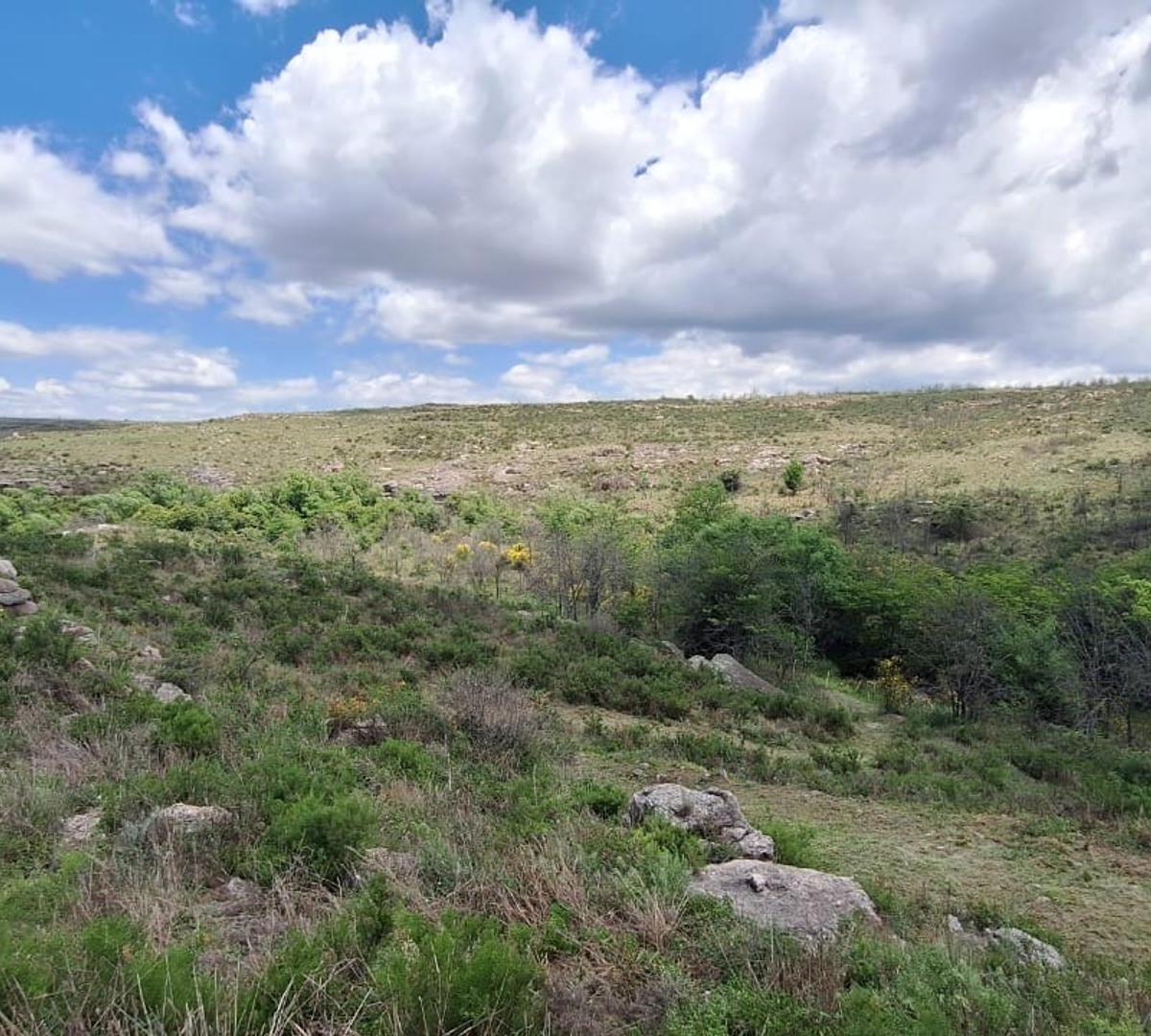 Lote a La Venta en Los Quimbaletes - Villa Giardino 4