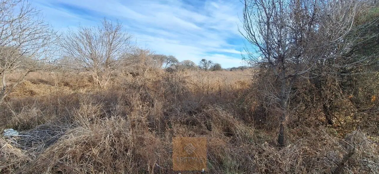 GRAN TERRENO DE 2 HA A LA VENTA- INCLUYE 2 PROPIEDADES 3