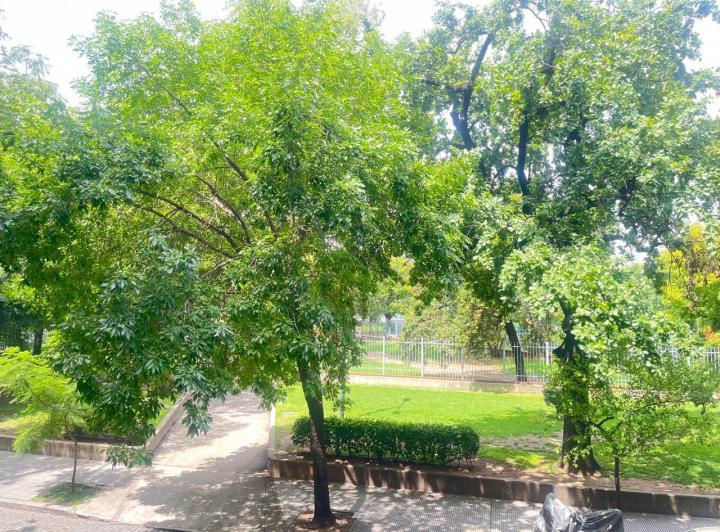 Oportunidad a Reciclar - frente al Parque Chacabuco 4