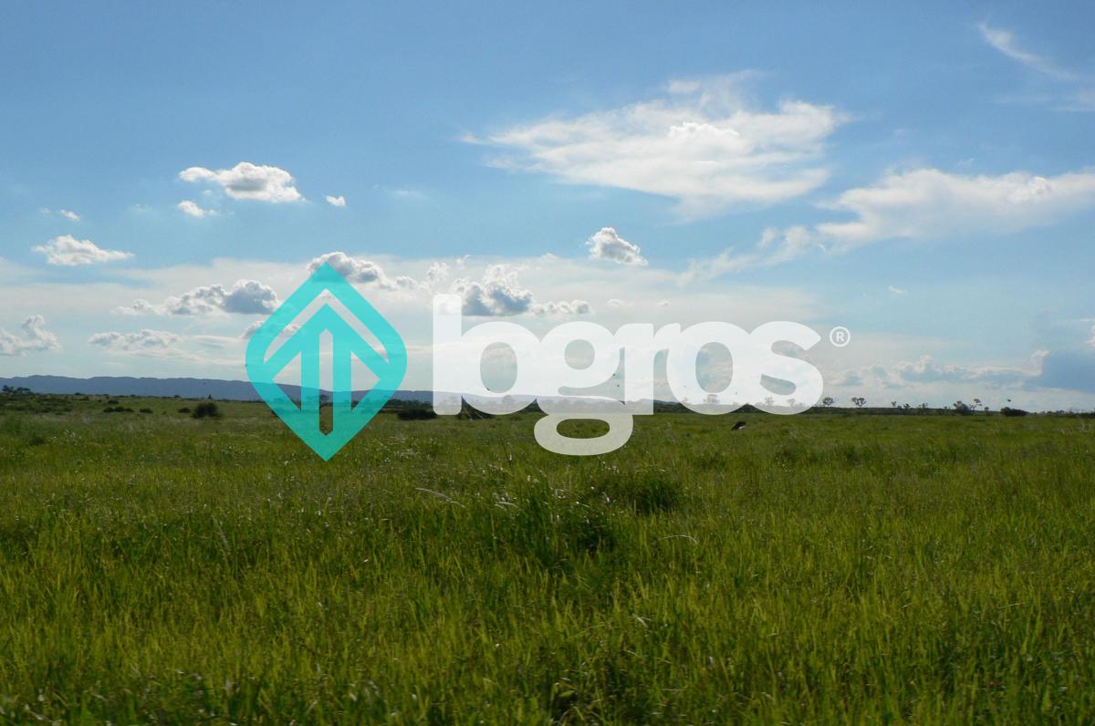 Campo en Venta 1700 Has Apto Agrícola Ganadero Zona Joaquín V. González, Salta 5