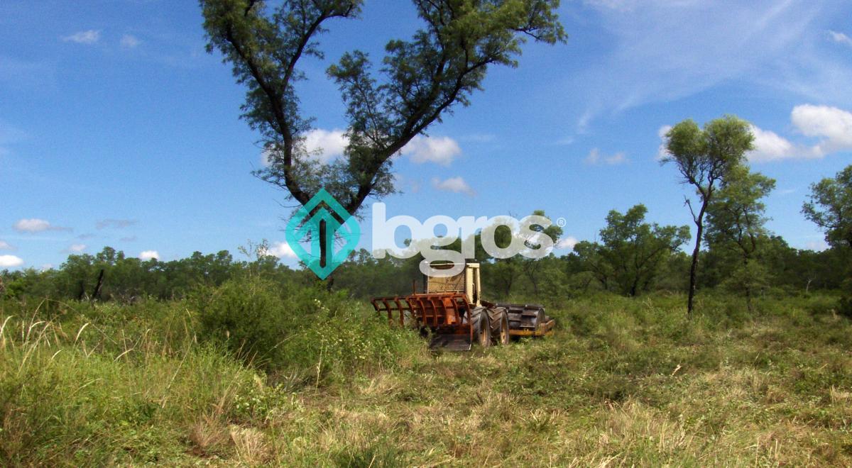 Campo en Venta 1700 Has Apto Agrícola Ganadero Zona Joaquín V. González, Salta 4