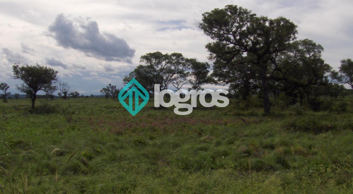 Campo en Venta 1700 Has Apto Agrícola Ganadero Zona Joaquín V. González, Salta 1