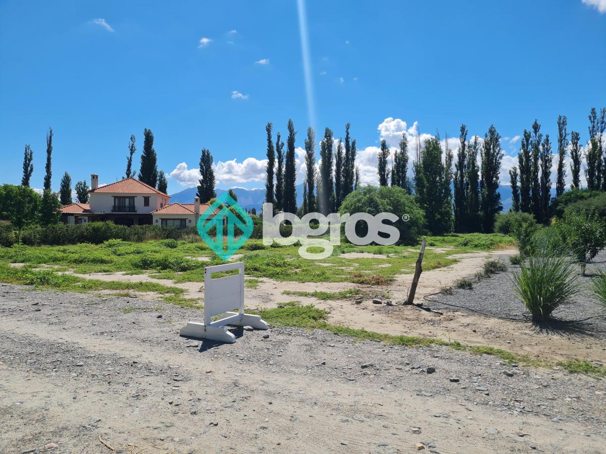 Terreno / Lote en Venta de 2135 m² en La Estancia de Cafayate – Salta 2