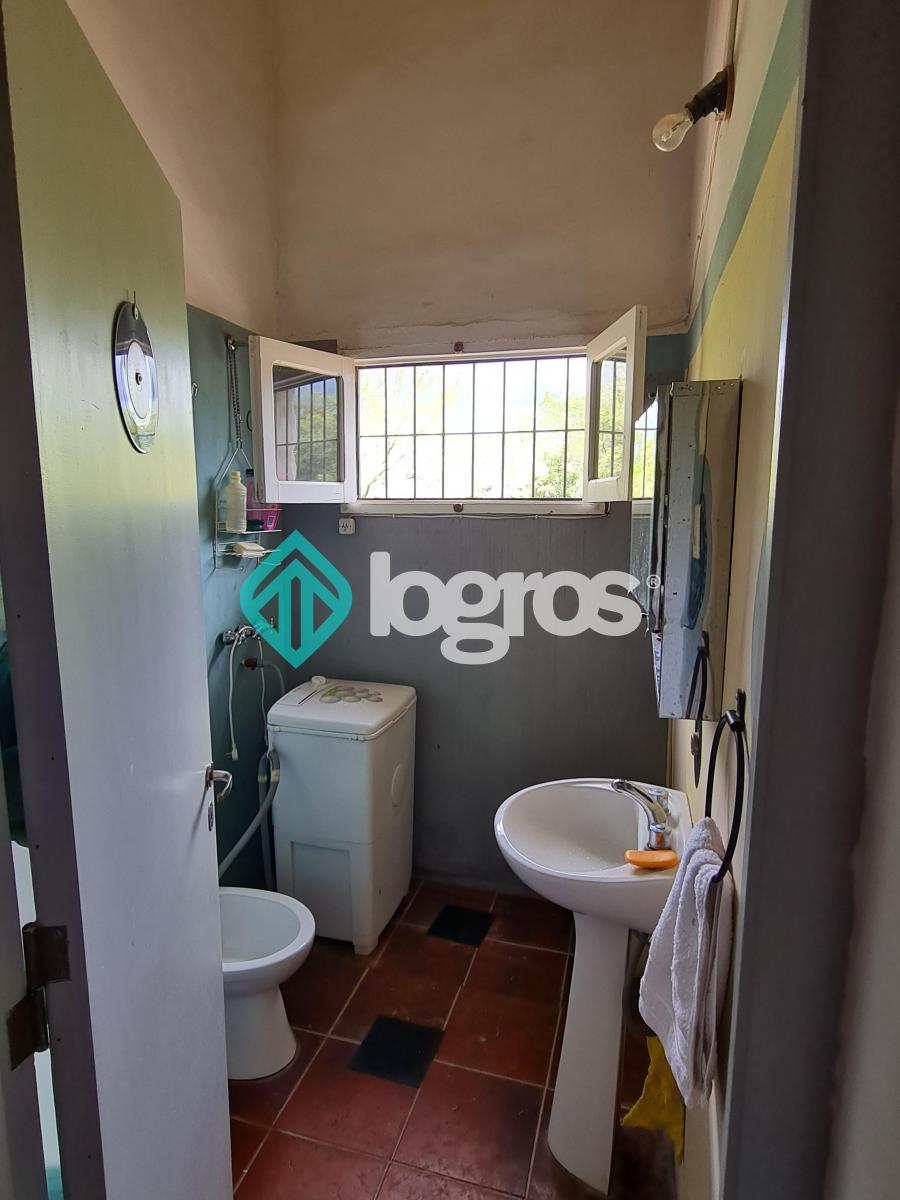 Finca de 3,5 Ha en San Carlos, Valles Calchaquíes, Salta 4