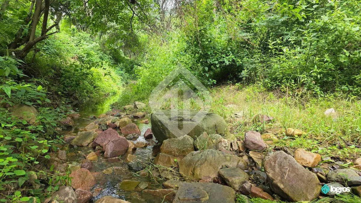 Finca en venta de 39 ha. en Las Higuerillas, RN 9, Autopista acceso a Salta 5