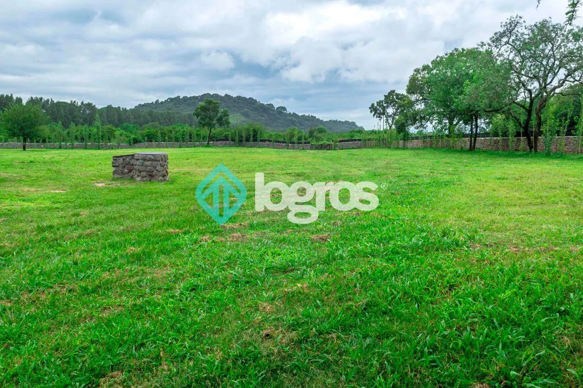 Finca en Venta de 10 Hectáreas, con casa y galpón, en Rosario de Lerma, Salta 4
