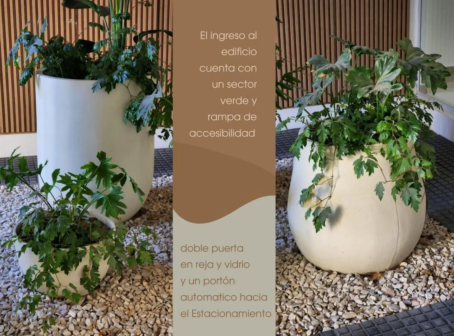 Alquiler temporario - Departamento Zona Céntrica 4