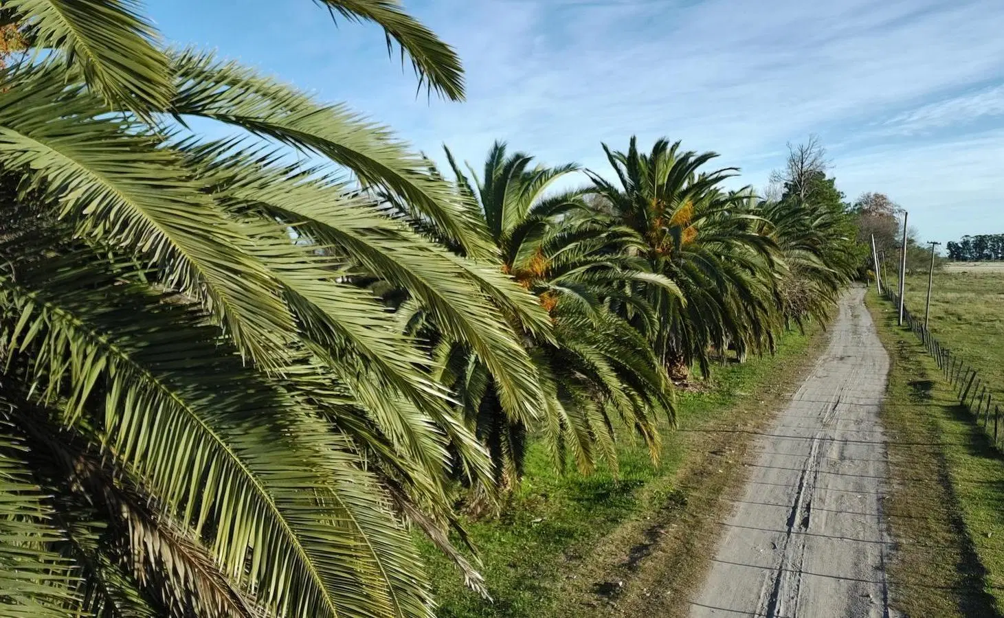 Chacra de 8 Hectareas sobre Ruta 20 3