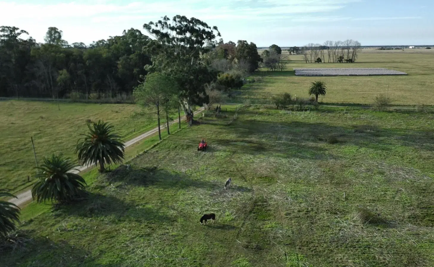 Chacra de 8 Hectareas sobre Ruta 20 4