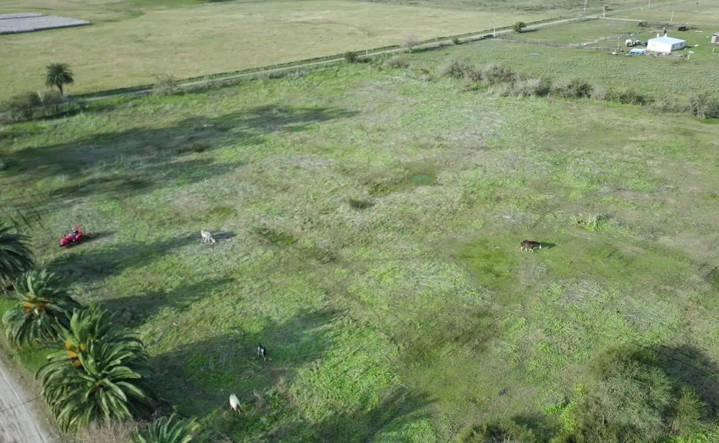 Chacra de 8 Hectareas sobre Ruta 20 2