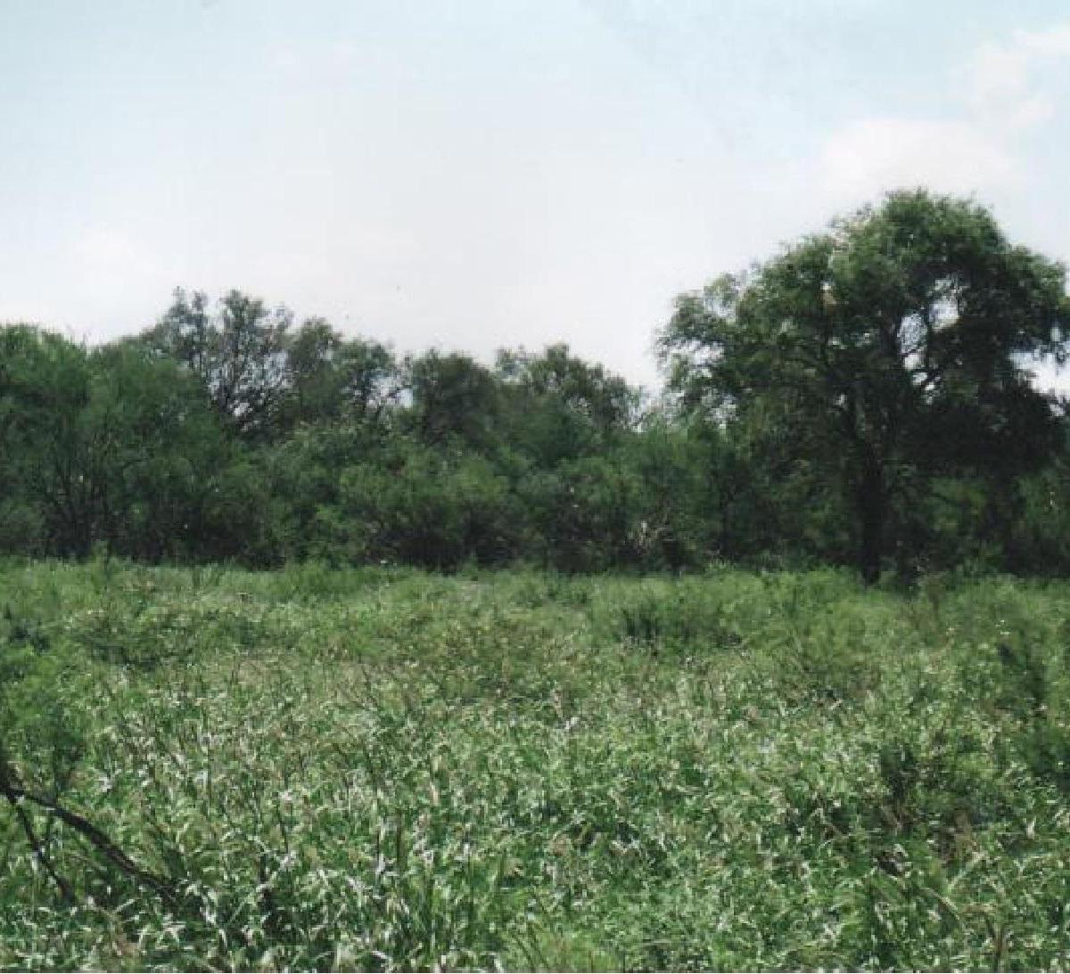 Se Vende Espectacular Campo Ganadero de 5.000 Ha Chamical, La Rioja. 5