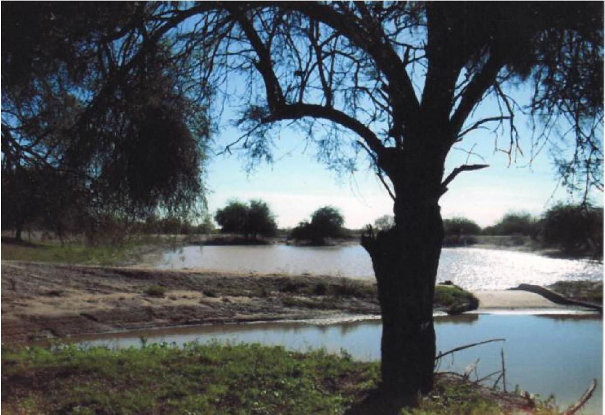 Se Vende Espectacular Campo Ganadero de 5.000 Ha Chamical, La Rioja. 4