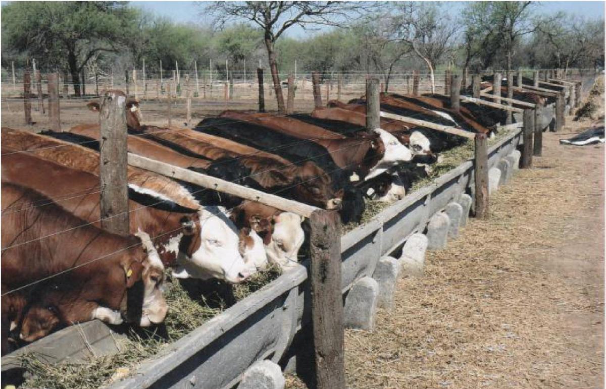 Se Vende Espectacular Campo Ganadero de 5.000 Ha Chamical, La Rioja. 1