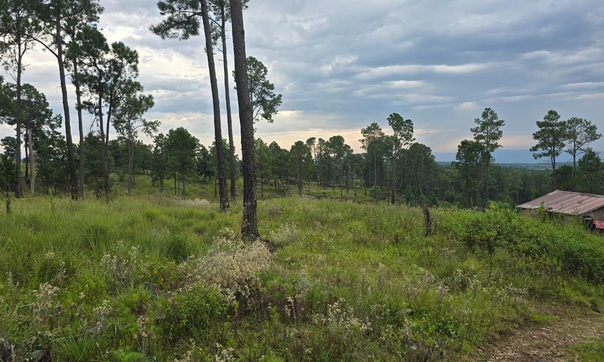 Se Vende Sensacional Campo de 10 Ha 3850 m² (13.850 M²), Villa Yacanto, Córdoba 1