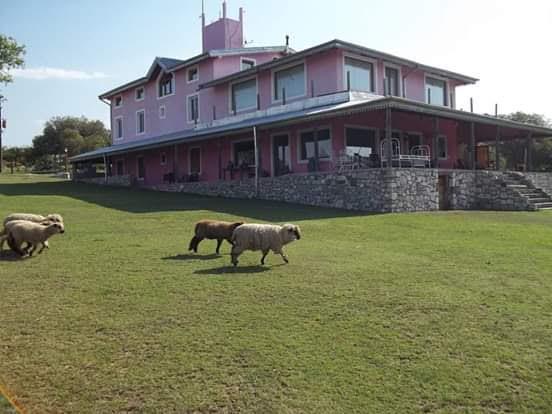 EXCLUSIVA POSADA DE CAMPO – CALMAYO – CORDOBA 1