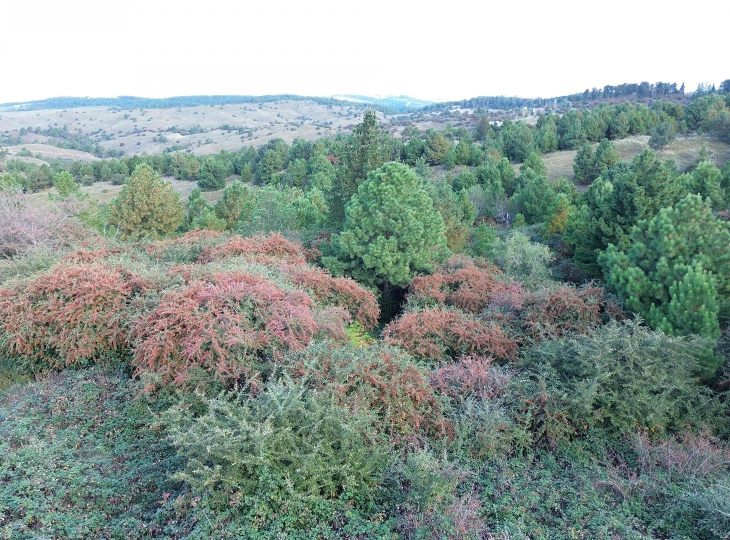 Se vende lote de 1,15 Ha. (11.565 m²) en Villa Berna - Córdoba