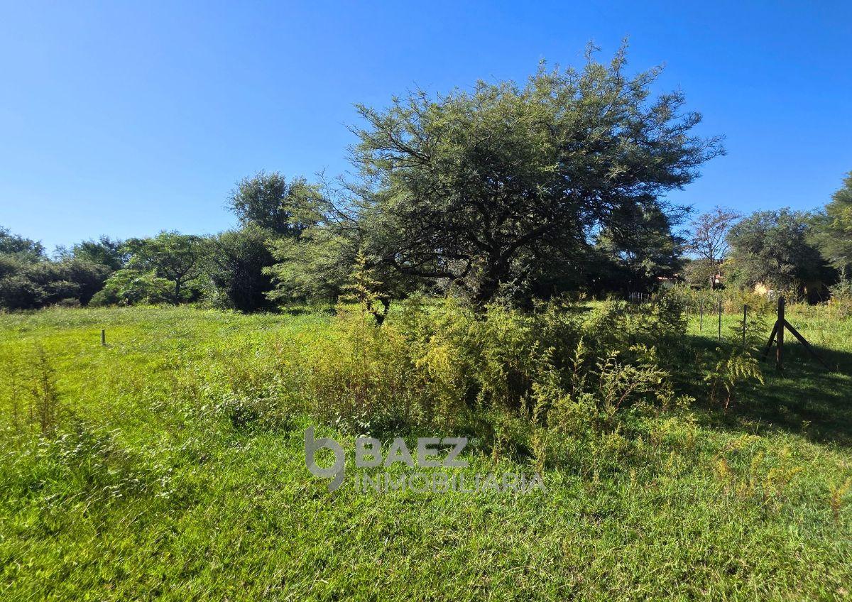Foto de En Venta 4 Lotes de 1.000m² – Villa General Belgrano, imagen 4