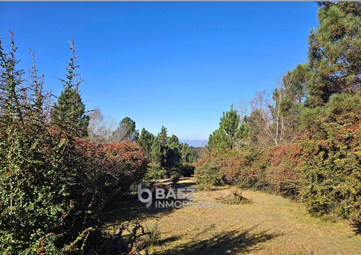 Foto de En Venta Lote de 4,4 has - Villa Berna - Córdoba, imagen 3