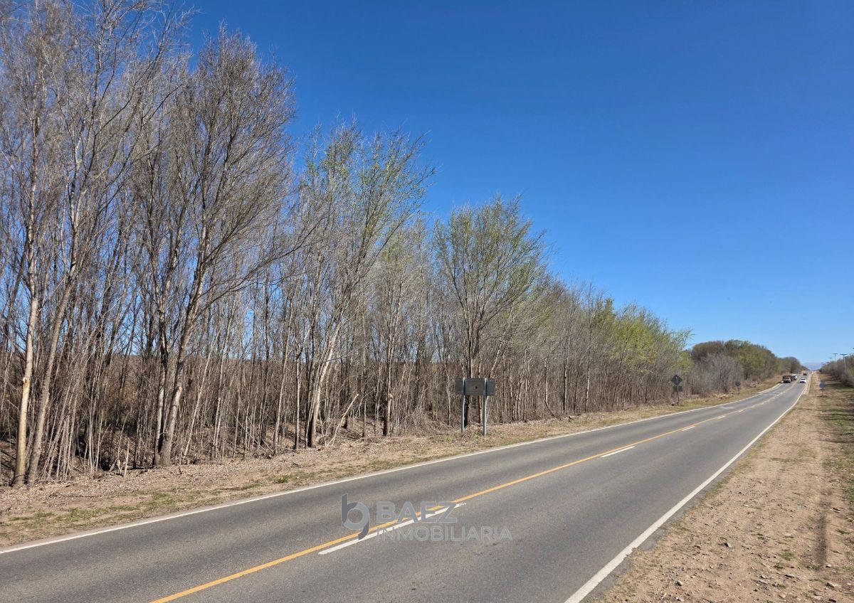 Foto de Lotes en Venta 600 m² - Loteo Los Selenios, San Ignacio, imagen 2