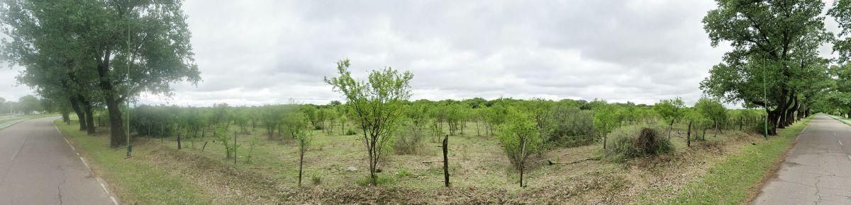 Foto de Camino a Villa Reynols., imagen 3