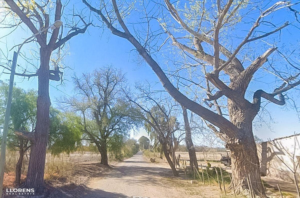 Foto de Finca de 36 HA. en Venta en La Reducción, Rivadavia, imagen 4