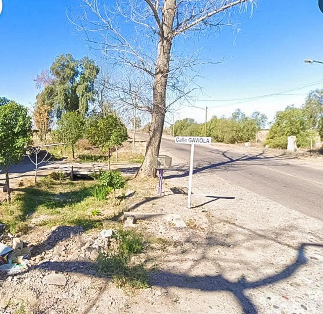 Finca de 36 HA. en Venta en La Reducción, Rivadavia 5