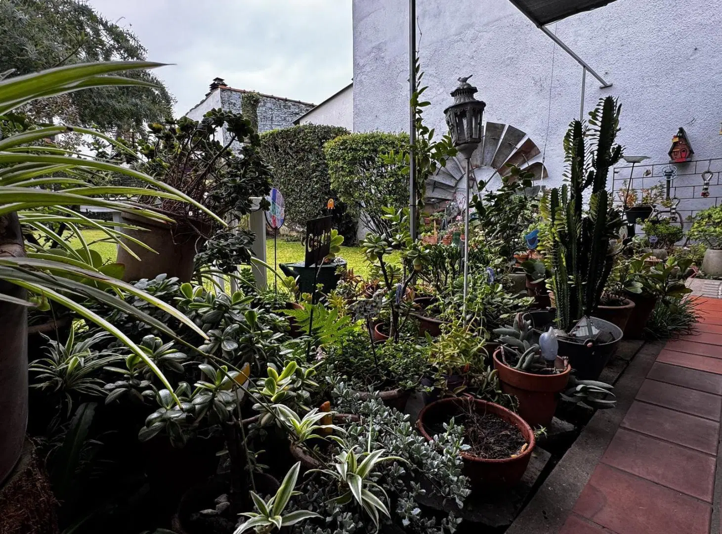 VENTA CASA 4 AMB - LOTE PROPÍO 10X42 - HAEDO NORTE 5
