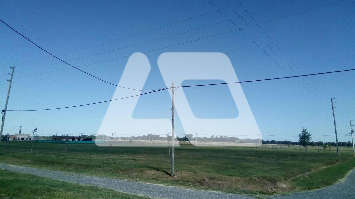 Foto de Terreno en Venta ubicado en San Vicente, G.B.A. Zona Sur, imagen 3