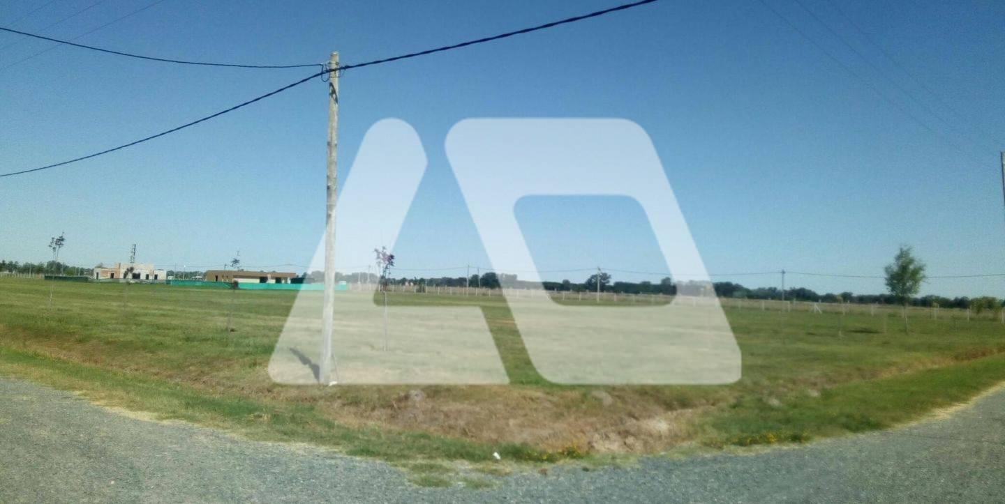 Foto de Terreno en Venta ubicado en San Vicente, G.B.A. Zona Sur, imagen 4