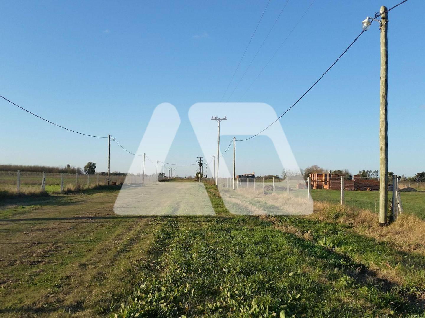 Foto de Terreno en Venta ubicado en La Paz (Roque Pérez), Resto de la, imagen 4