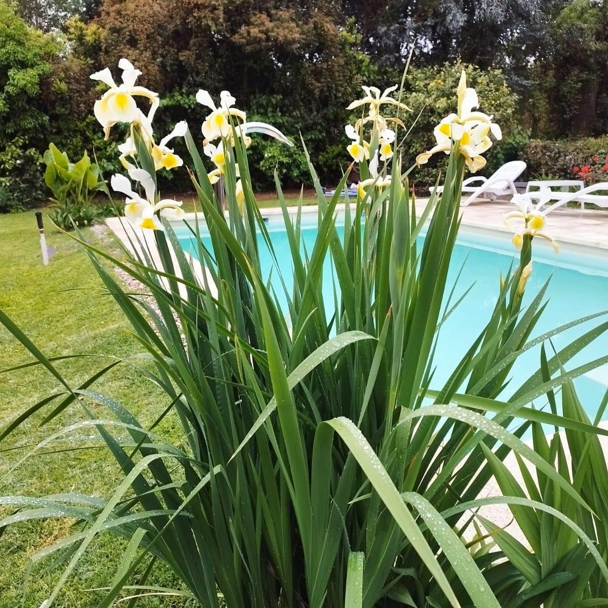 Foto de VENTA DE CASA BARRIO PRIVADO LA DESEADA, EZEIZA, imagen 5