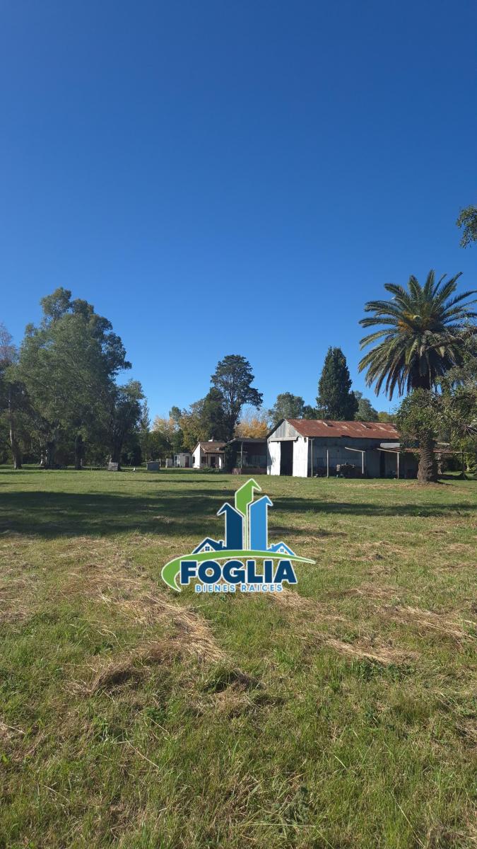 Foto de Chacra en Venta - Cañuelas - Alejandro Petión - 9,8 Ha- NUEVO VALOR!! -, imagen 2