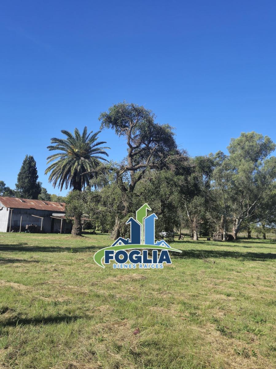 Foto de Chacra en Venta - Cañuelas - Alejandro Petión - 9,8 Ha- NUEVO VALOR!! -, imagen 3