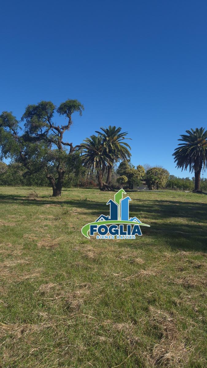 Foto de Chacra en Venta - Cañuelas - Alejandro Petión - 9,8 Ha- NUEVO VALOR!! -, imagen 4