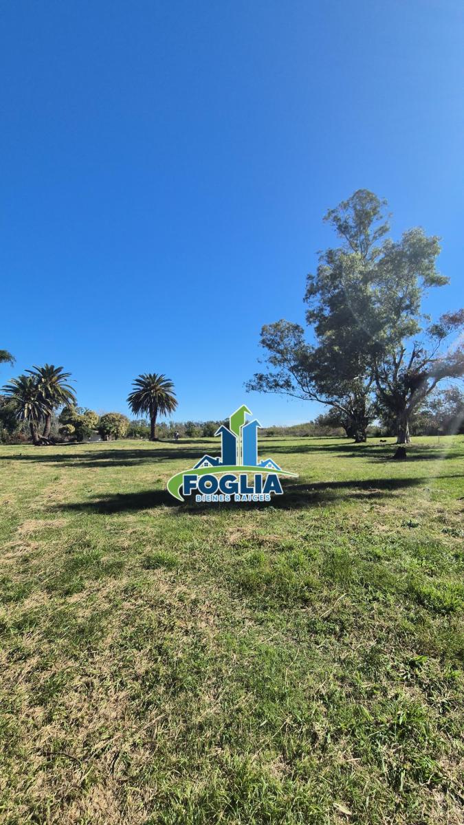 Foto de Chacra en Venta - Cañuelas - Alejandro Petión - 9,8 Ha- NUEVO VALOR!! -, imagen 5