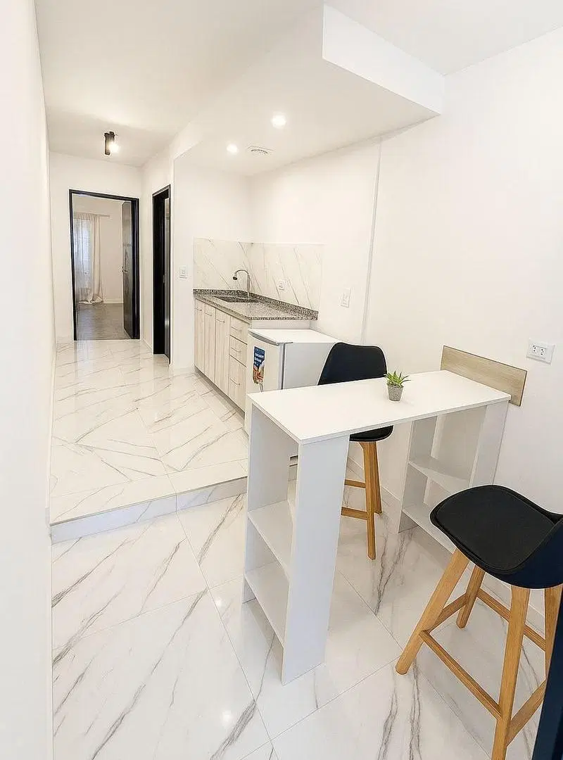 Departamento en Microcentro 8
