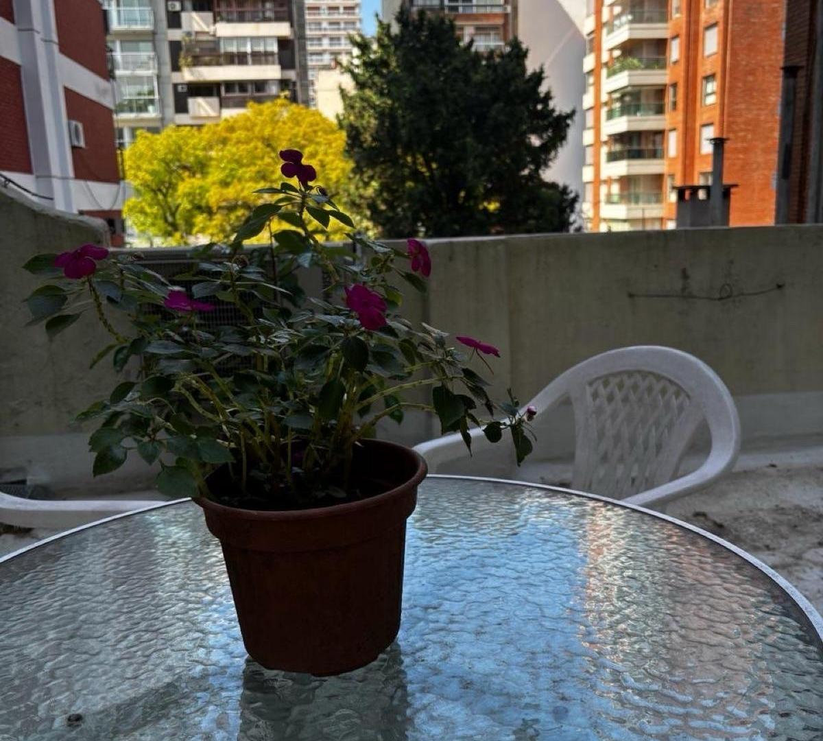 Foto de Departamento - Las Cañitas, imagen 5