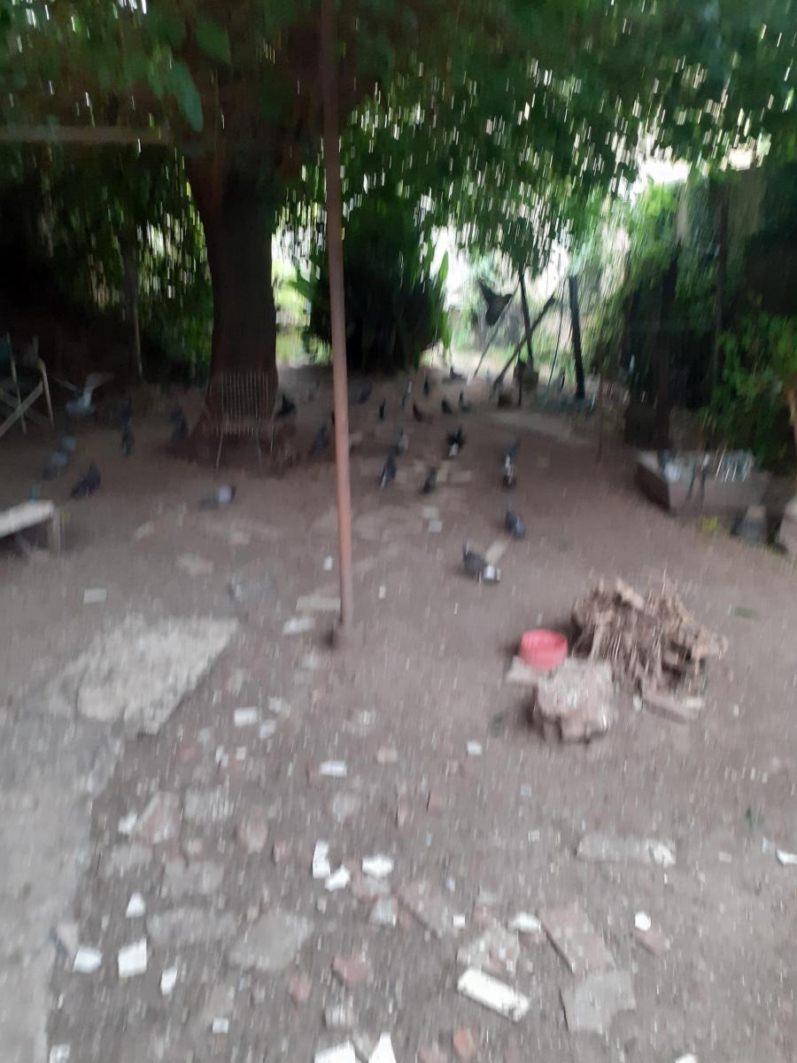 Lote 8,66 X 50 4