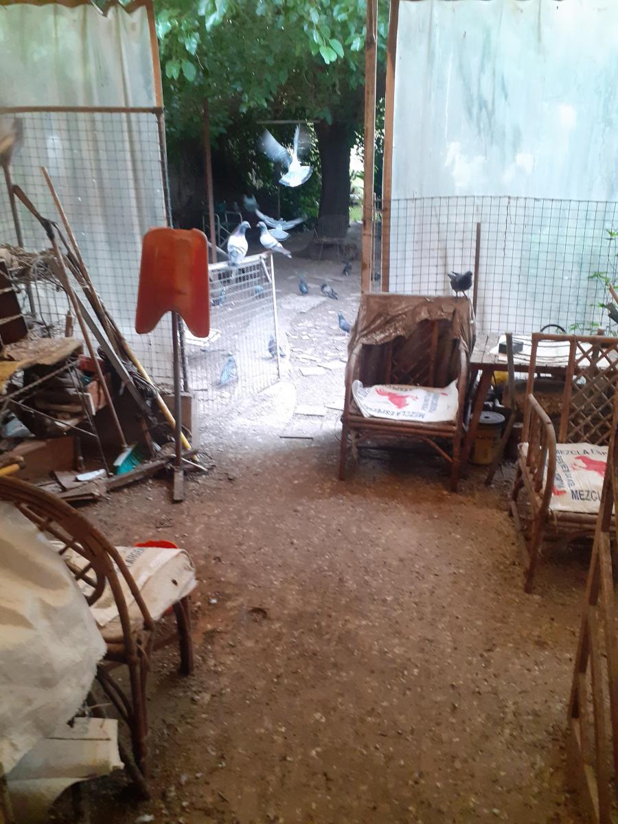 Lote 8,66 X 50 2